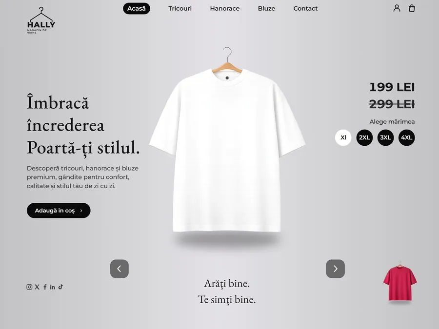HALLY, site realizat de Flowmatic